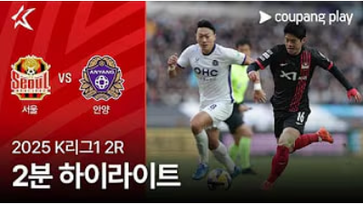 서울 vs 안양 경기 분석 및 하이라이트