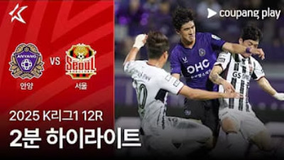 [K리그] 5.6 FC 안양 1 : 1 FC 서울